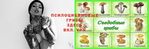 ГАЛЛЮЦИНОГЕННЫЕ ГРИБЫ Кодинск