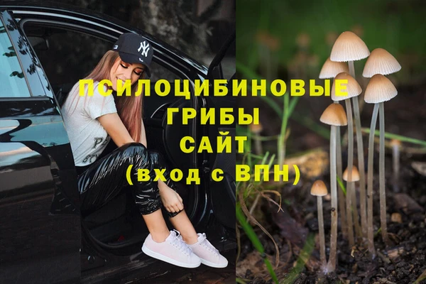 ГАЛЛЮЦИНОГЕННЫЕ ГРИБЫ Кодинск