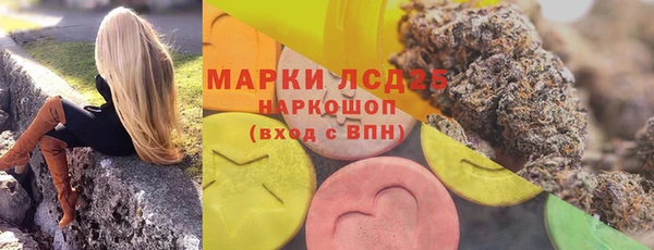 ГАЛЛЮЦИНОГЕННЫЕ ГРИБЫ Кодинск